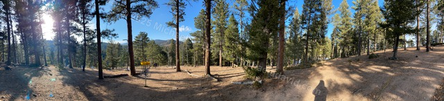 nature_2022-12-04 14.10.34-2022.jpg